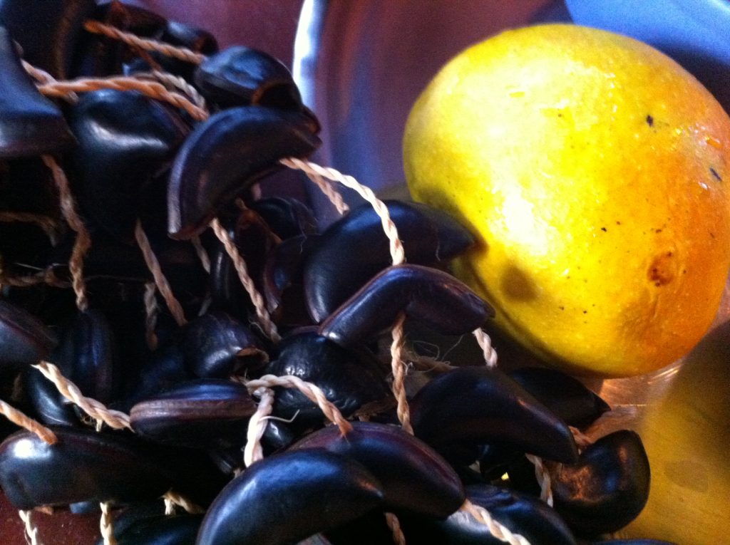 Rassel und Mango